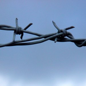 barbed wire boundary fence