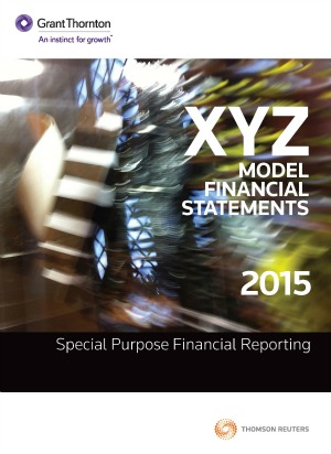 XYZ Model Financial Statements 2015 Special Purpose cover