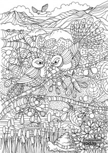 Employment Today - NZ themed colouring in page for adults.